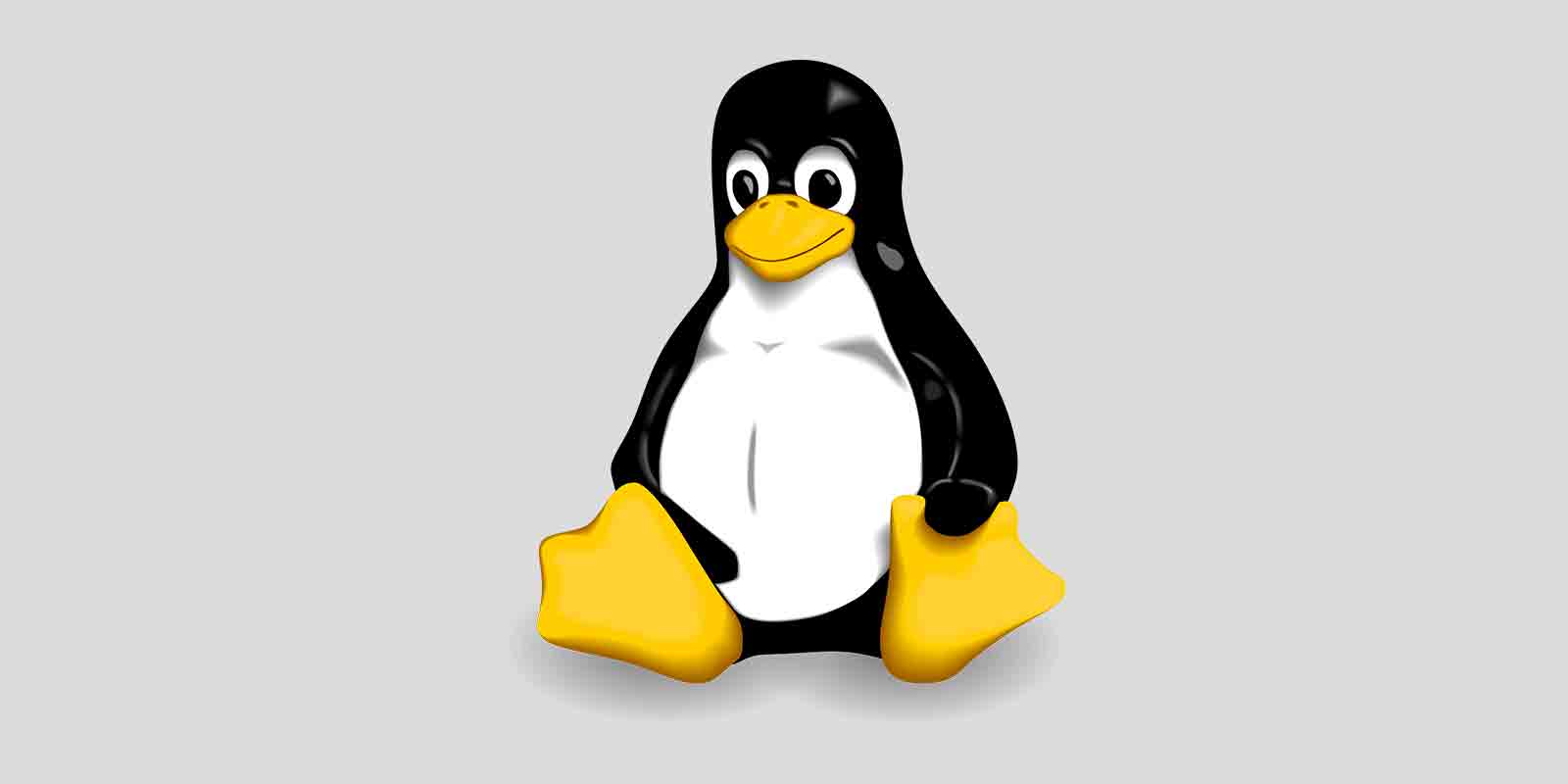 working-with-symfony-on-linux